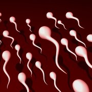 Infertility / Fertility related image